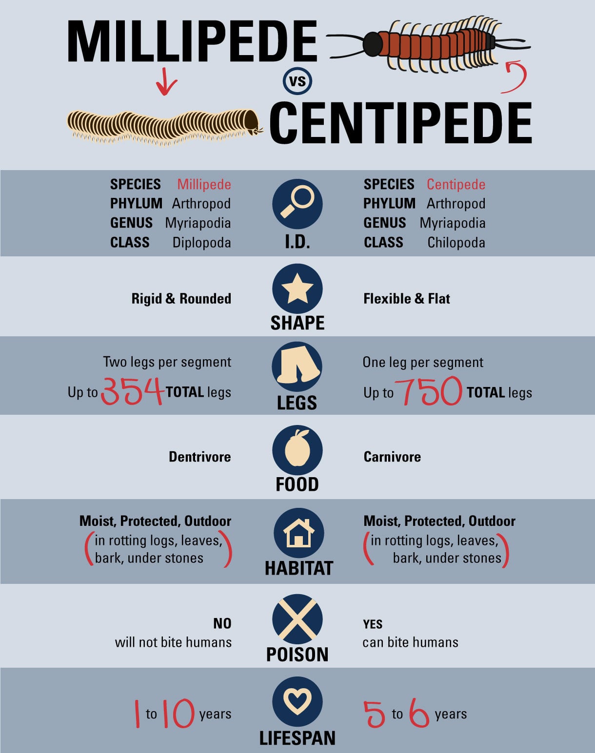 Millipede vs centipede infographic