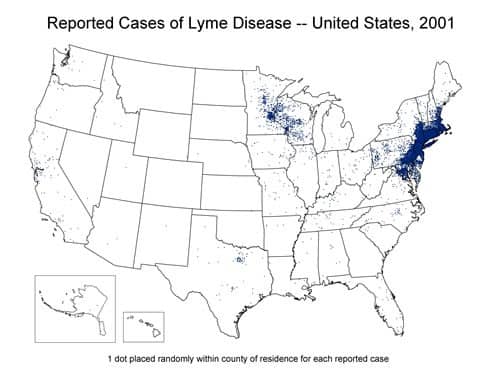 Reported cases of Lyme Disease US 2001