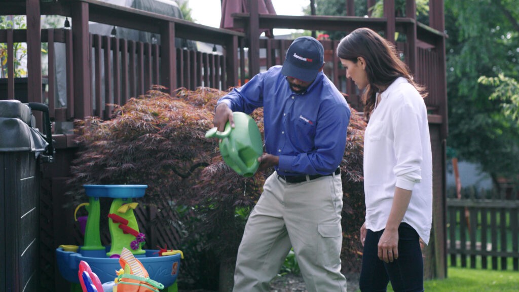 emptying breeding grounds for mosquito control in yard