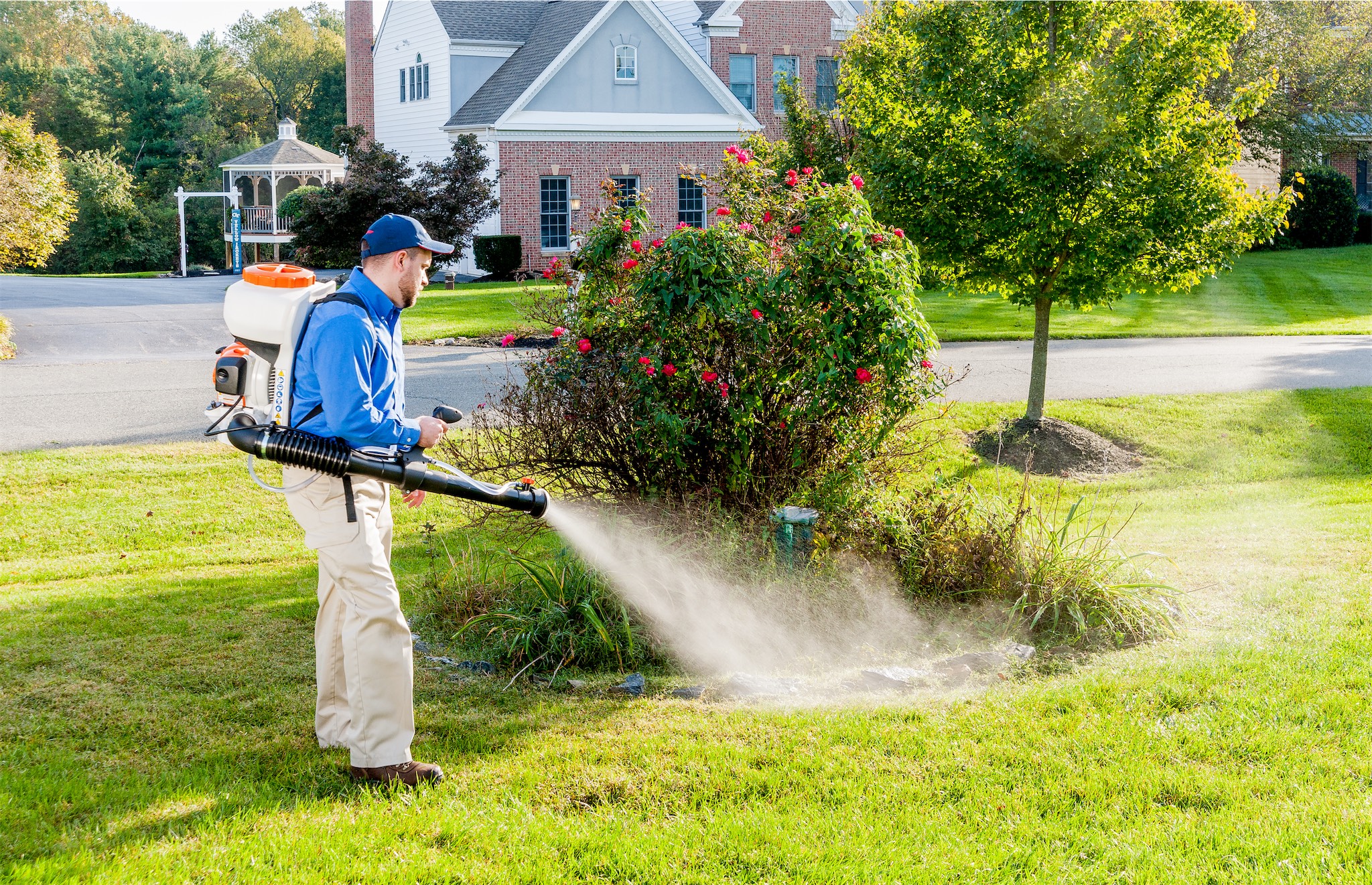 treating bushes for mosquito control in a yard