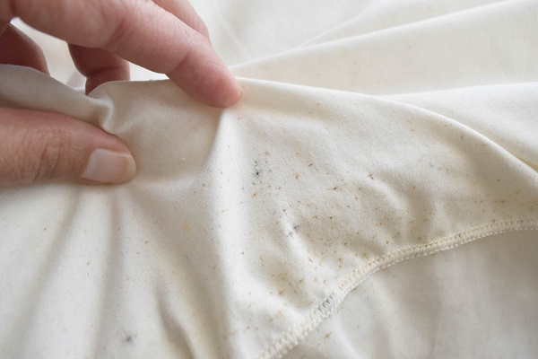 Image showing signs of bed bugs on a bed sheet