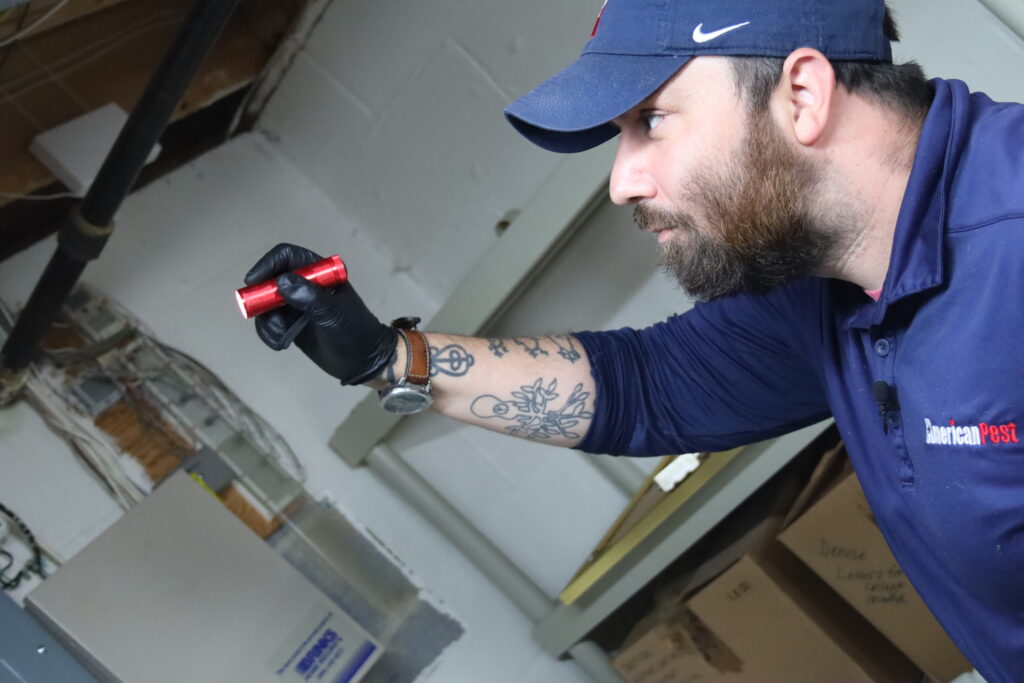 American Pest technician performing a basement inspection