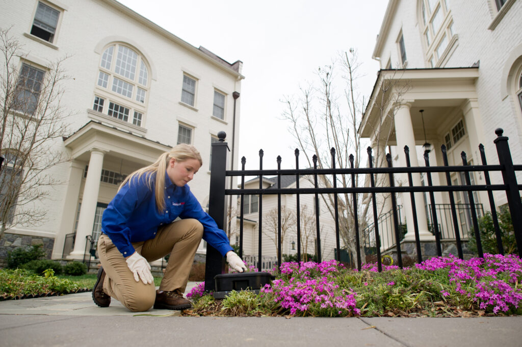 American Pest technician treating bushes outside of home