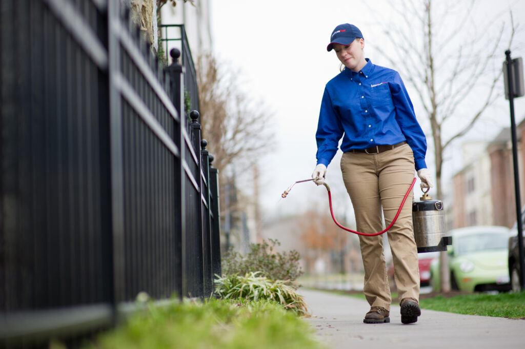 American Pest technician treating patch of grass