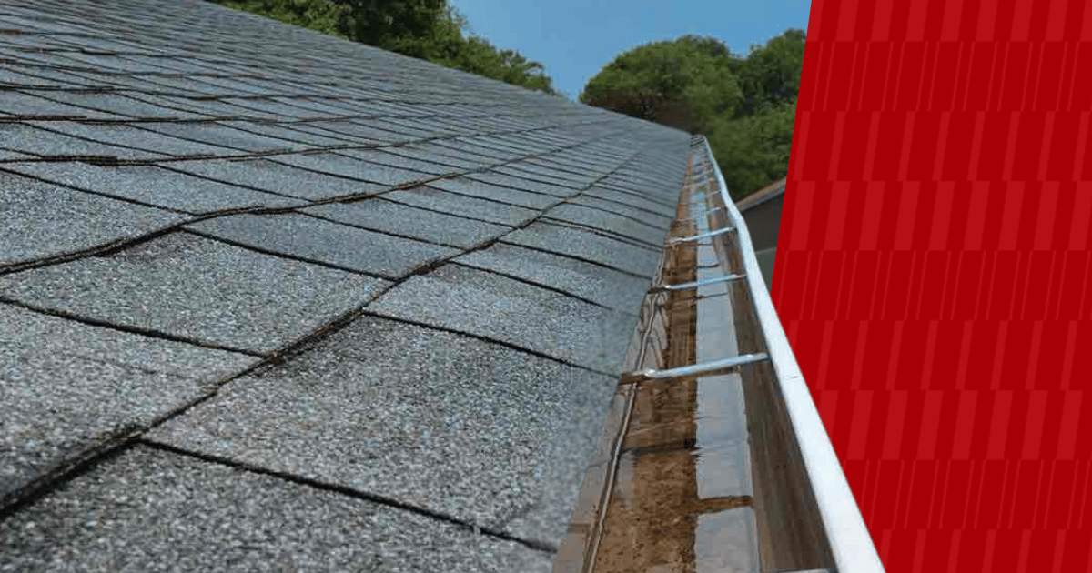 Image of clogged gutter with American Pest branding