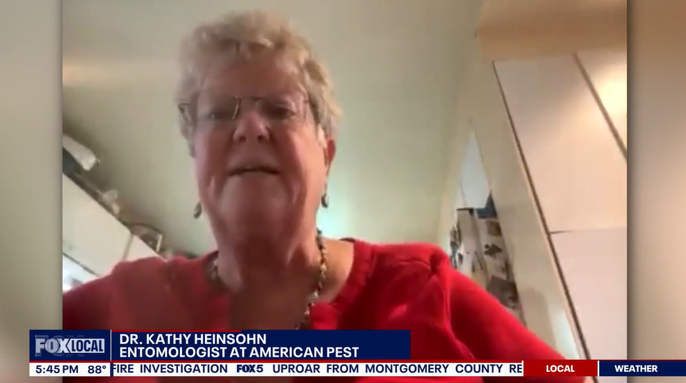 Screenshot of news segment on Fox 5 DC with Dr. Kathy Heinsohn, BCE.
