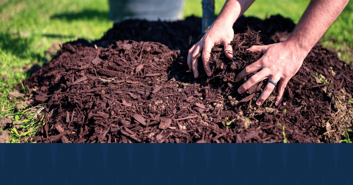 Mulching in a yard with American Pest branding