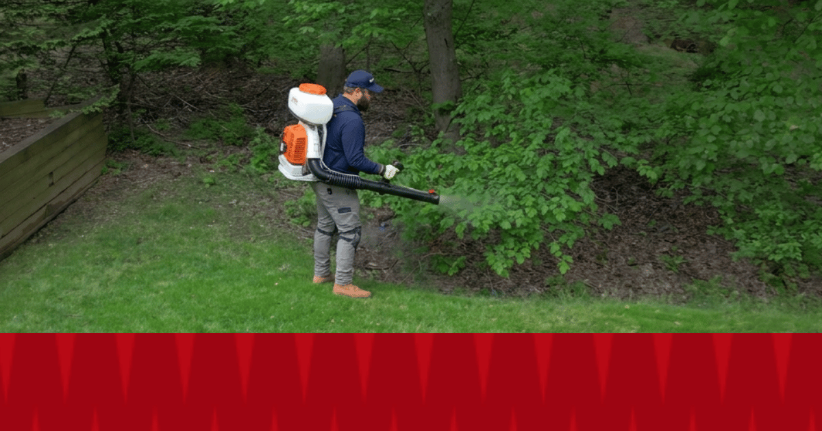 Mosquito treatment by American Pest technician