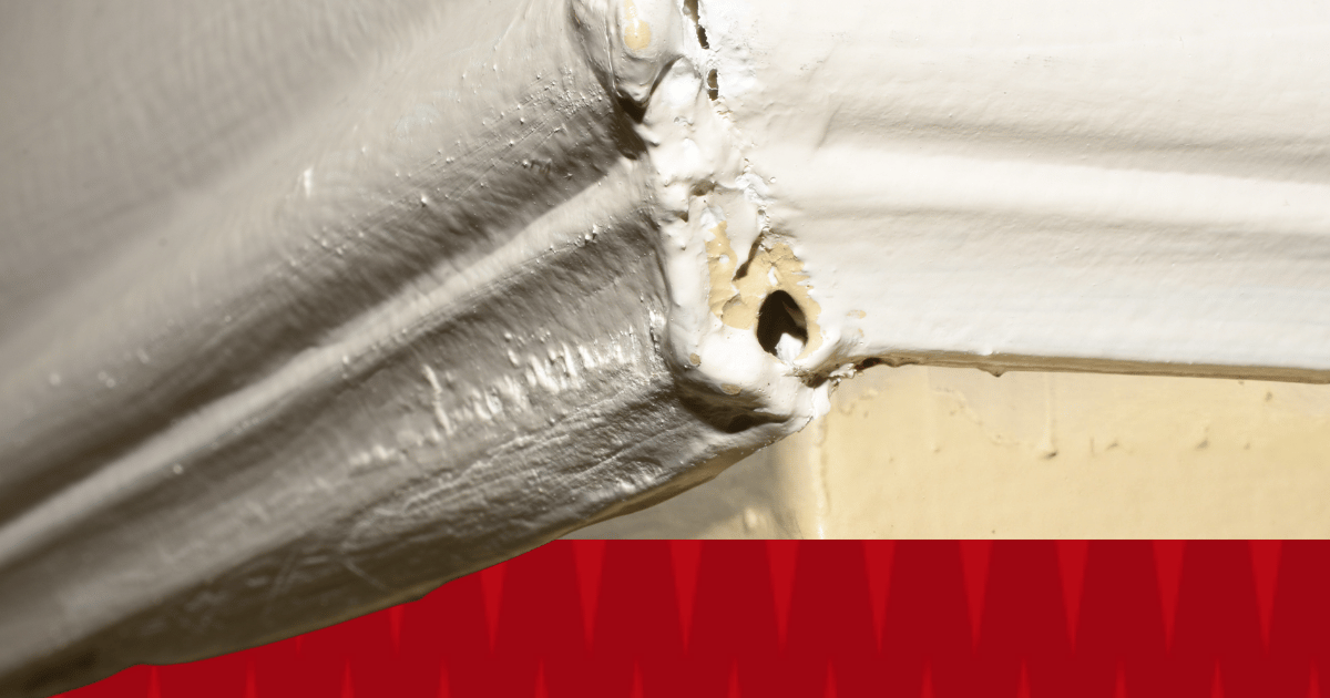 Evidence of termites with American Pest branding