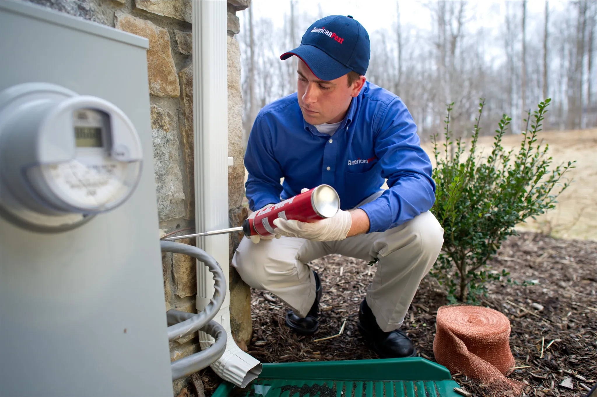 Pest Control In Charlotte County