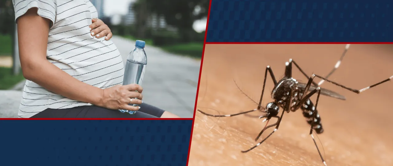 does being pregnant attract mosquito bites?