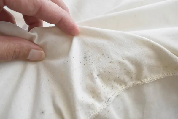 Image showing signs of bed bugs on a bed sheet