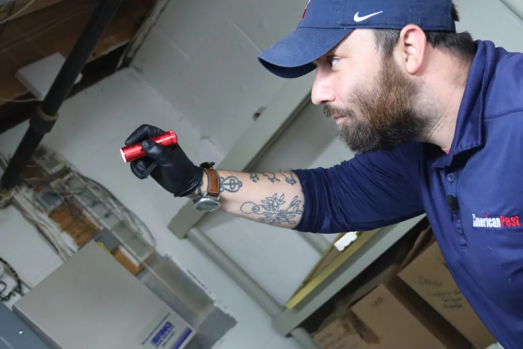American Pest technician performing a basement inspection