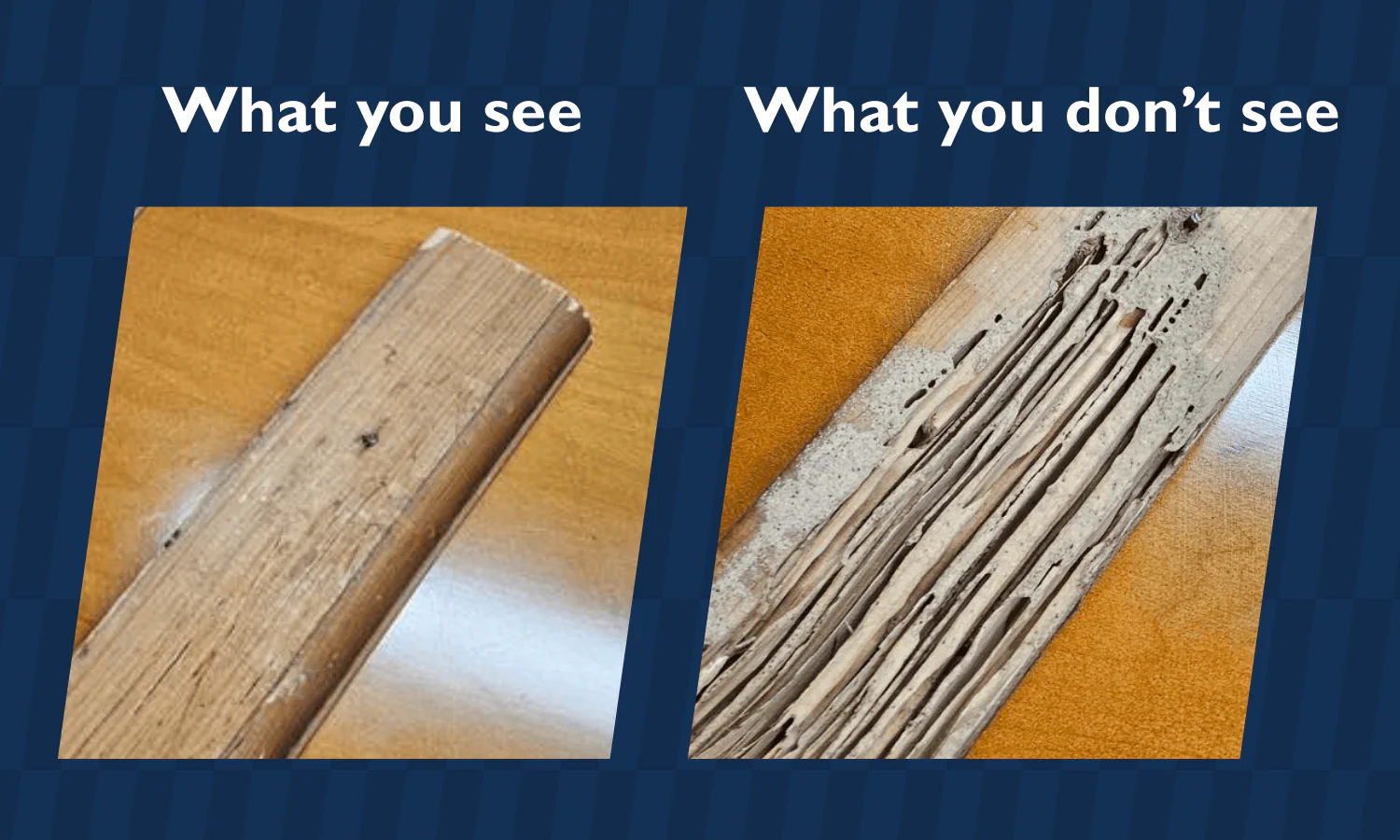 Side by side photos showing termite damage. The left photo has a headline of, "What you see", and shows the front of an in-tact baseboard. The right photo has a headline of, "What you don't see", and shows the back of the same baseboard, with termite damage.