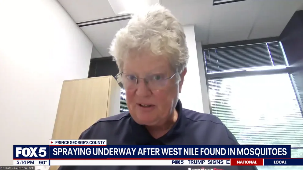 Dr. Kathy Heinsohn, BCE, on Fox 5 DC
